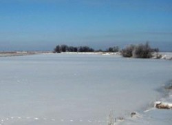 Поздняя весна в Астраханской области