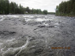 Рыбалка, охота, отдых "У Степаныча"