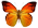 Бабочка (1)